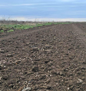 У травні оголосили 37 аукціонів на розмінування агроземель на 760 мільйонів | Новини