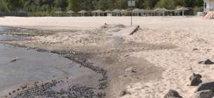 Водяной орех в Черкассах 2025: колючая проблема на пляжах Днепра и экологическая угроза. Фото: Суспільне Черкаси