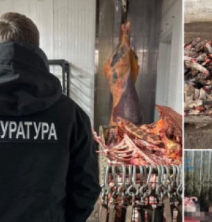 Масштабное загрязнение земель на Волыни отходами незаконной бойни Масштабное загрязнение земель на Волыни: подозреваемым сообщили о подозрении