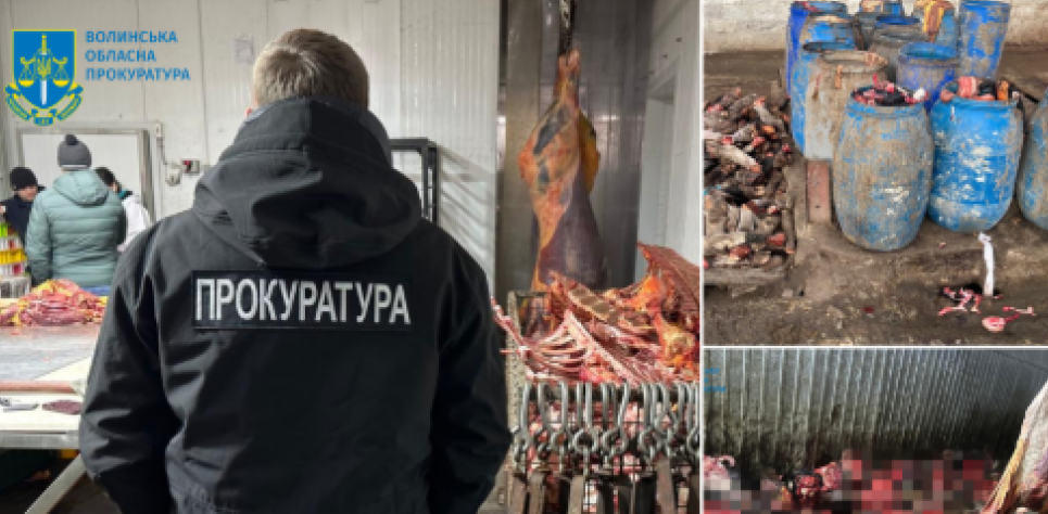 Масштабное загрязнение земель отходами незаконной бойни Масштабное загрязнение земель на Волыни: подозреваемым сообщили о подозрении
