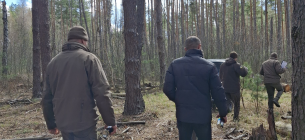 Збитки від порубки понад тисячі дерев у Коростенському районі 