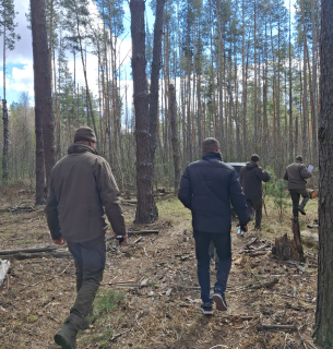 Збитки від порубки понад тисячі дерев у Коростенському районі — майже 4 млн грн Збитки від порубки понад тисячі дерев у Коростенському районі