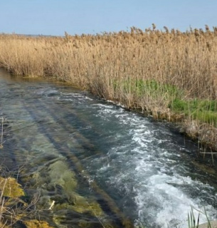Тривога була марною: перевірка води куяльницького лиману на Одещині Екоінспектори спростували забруднення Куяльницького лиману на Одещині