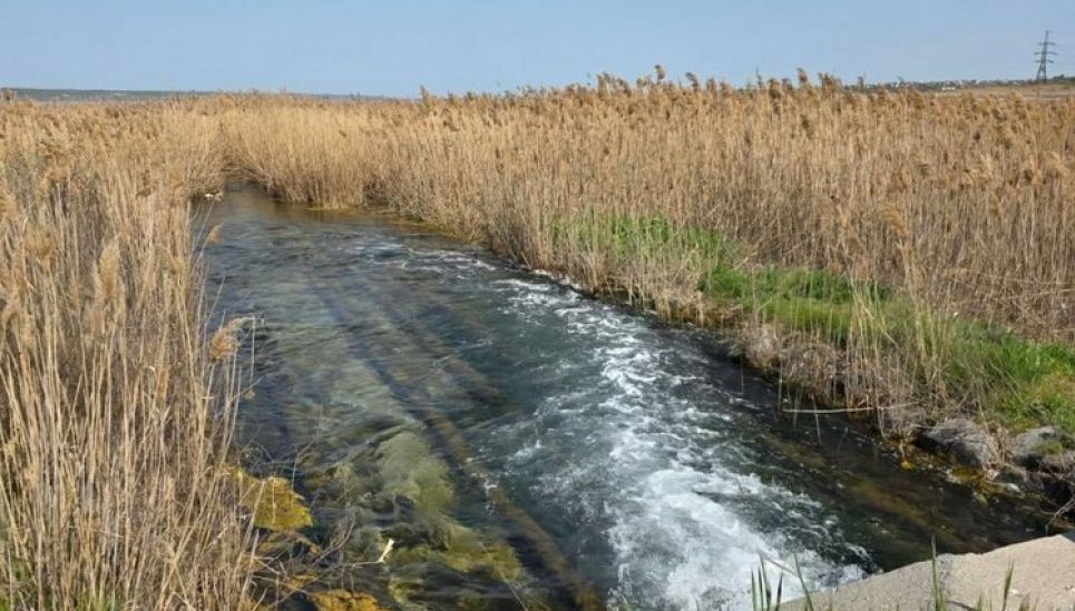 Тривога була марною: перевірка води куяльницького лиману на Одещині Екоінспектори спростували забруднення Куяльницького лиману на Одещині