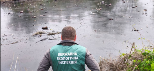 Загрязнение реки в Запорожье: экоинспекция проводит анализ