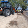 У Черкасах комунальники розпочали активну боротьбу з водяним горіхом У Черкасах комунальні служби розпочали активну боротьбу з водяним горіхом