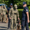 Патроне, приймай підкріплення: чотирилапі сапери вирушають допомагати Україні Чотирилапі сапери вирушають допомагати Україні. Фото: Європейська комісія