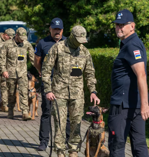 Патроне, приймай підкріплення: чотирилапі сапери вирушають допомагати Україні Чотирилапі сапери вирушають допомагати Україні. Фото: Європейська комісія