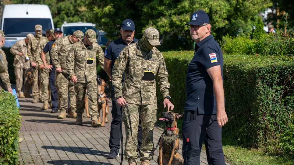 Патроне, приймай підкріплення: чотирилапі сапери вирушають допомагати Україні Чотирилапі сапери вирушають допомагати Україні. Фото: Європейська комісія