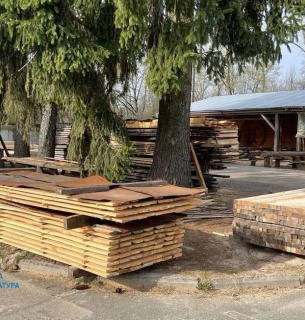 На Одещині судитимуть директора підприємства за незаконний експорт сотень кубометрів лісу до ЄС Фото: Одеська обласна прокуратура