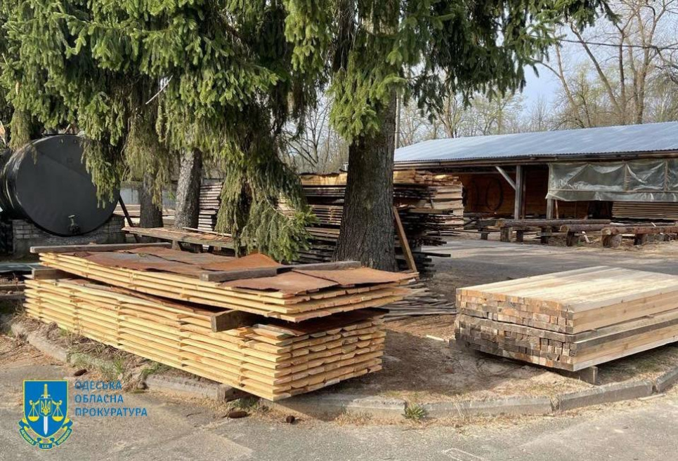 На Одещині судитимуть директора підприємства за незаконний експорт сотень кубометрів лісу до ЄС Фото: Одеська обласна прокуратура