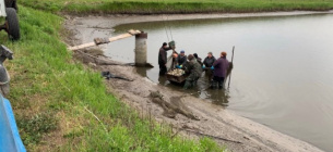 Майже 2 тисячі коропів випустили у Чорнобаївське водосховище. Фото: Черкаський рибоохоронний патруль