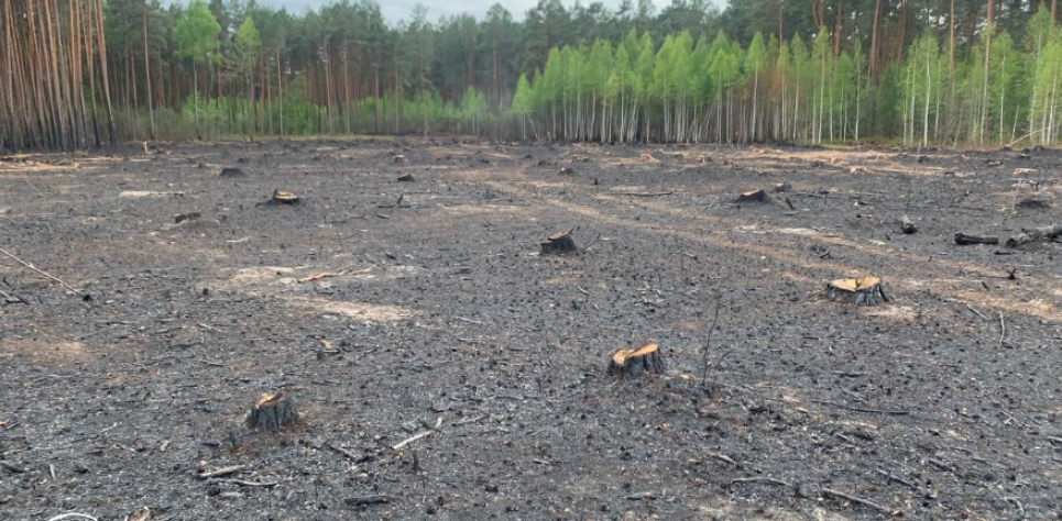 На Рівненщині оштрафовано палія лісу на майже 5 тисяч гривень Фото ДЕІ