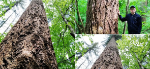 Фото: tyachivnews