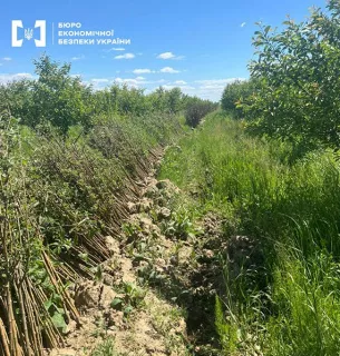 Схема розкрадання на аграрних грантах: у фігурантів знайшли угорські паспорти, хто наступний Схема розкрадання на аграрних грантах на Закарпатті