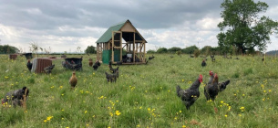 Фото: farminguk.com