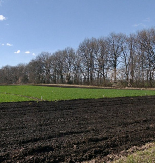 Нові правила сплати за землю: спрощення переходу обов’язків при зміні власника нерухомості Фото ілюстративне