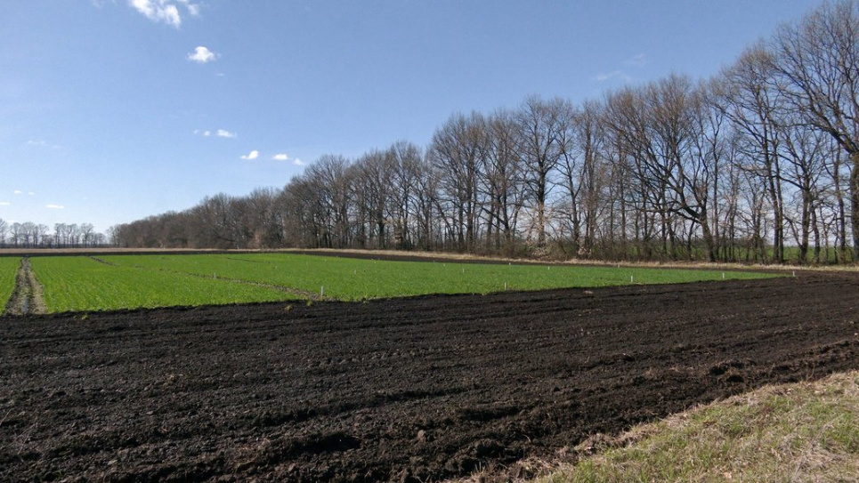 Нові правила сплати за землю: спрощення переходу обов’язків при зміні власника нерухомості Фото ілюстративне