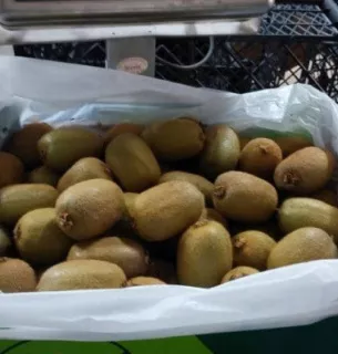 Іранські експортери фруктів розповіли про "війну" та страйки, що зривають торгівлю Фото: Елисавет Кириази
