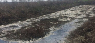 На Волыни водителя оштрафовали на 17 000 грн за слив нечистот в поле