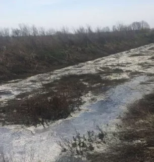 17 тисяч штрафу за нечистоти в полі: на Волині засудили водія вантажівки На Волині водія оштрафували на 17 000 грн за злив нечистот у поле