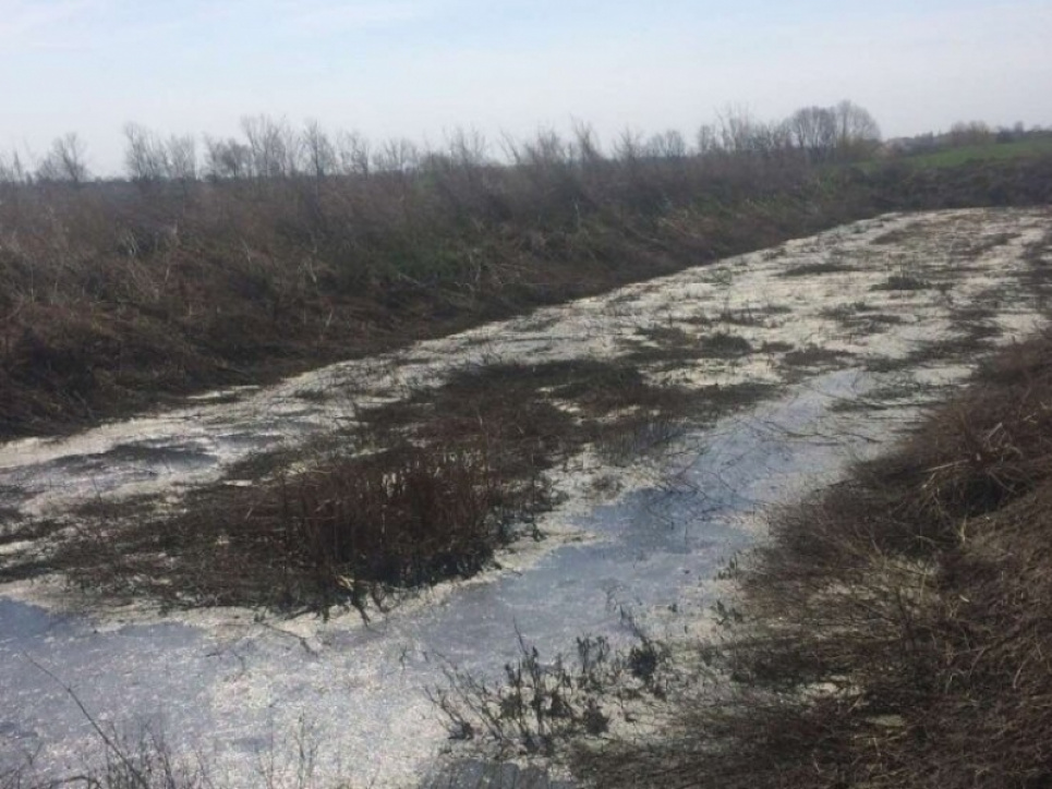 17 тысяч штрафа за нечистоты в поле: на Волыни осудили водителя грузовика На Волыни водителя оштрафовали на 17 000 грн за слив нечистот в поле