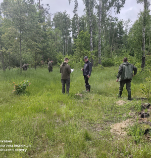 Масштабна вирубка на Поліссі: незаконно зрізали понад 200 дерев Незаконна вирубка лісу на Поліссі