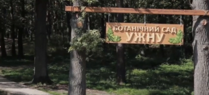 Фото з відкритих джерел