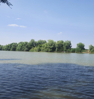 Південь Одещини може залишитися без питної води - причини Екологічна загроза на Одещині: придунайські озера на межі висихання