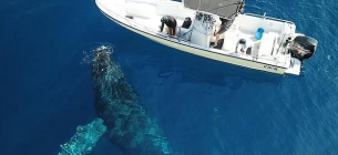 Фото: Indigo Adventures / Kennedy News