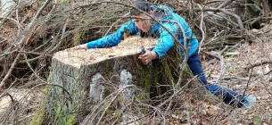 Фото: t.me/natureprotectionukraine