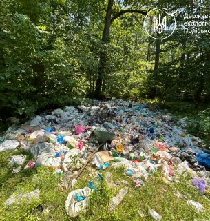 Біля рекреаційної зони «Діброва» на Житомирщині виявили несанкціоноване сміттєзвалище Біля рекреаційної зони «Діброва» на Житомирщині виявили несанкціоноване сміттєзвалище