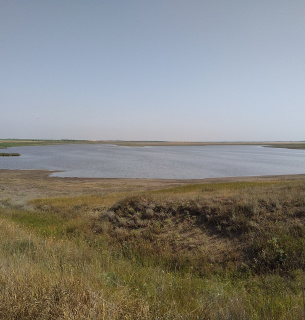 Річка на Запоріжжі отруєна шахтними водами з захопленого комбінату Річка Малий Утлюк біля місця впадіння в Утлюцький лиман, Якимівський район, Запорізька обл., Україна. Фото: Maxim Gavrilyuk
