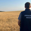 На Харківщині прокуратура через суд повертає цінні землі, передані бізнесу під виглядом "співпраці" Прокуратура вимагає повернути державі 600 га цінних земель на Харківщині