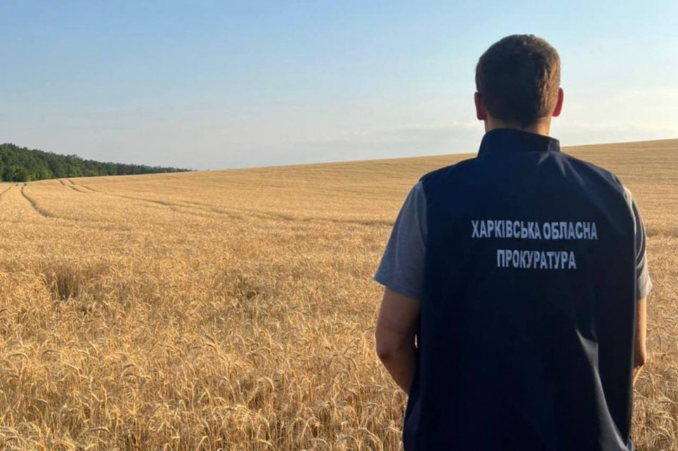На Харківщині прокуратура через суд повертає цінні землі, передані бізнесу під виглядом "співпраці" Прокуратура вимагає повернути державі 600 га цінних земель на Харківщині