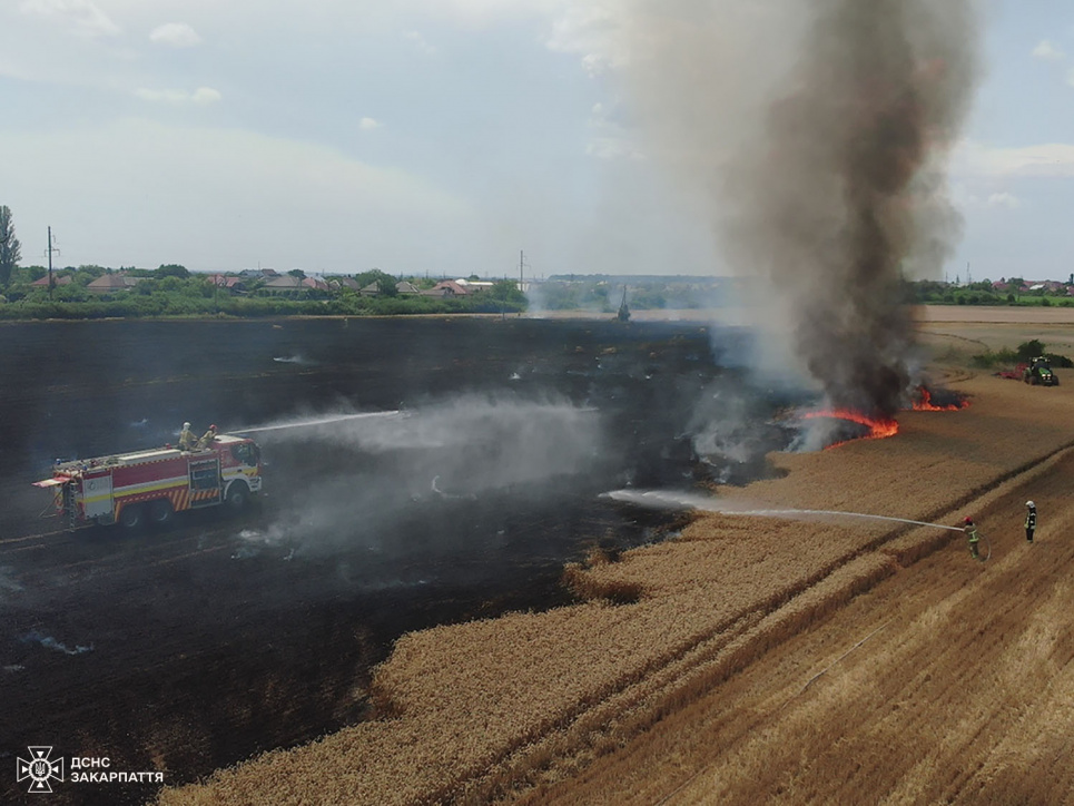 На Ужгородщині згоріло майже півтора гектара пшениці та сухої трави Пожежа на Ужгородщині: згоріло 1,4 га пшениці та сухої трави