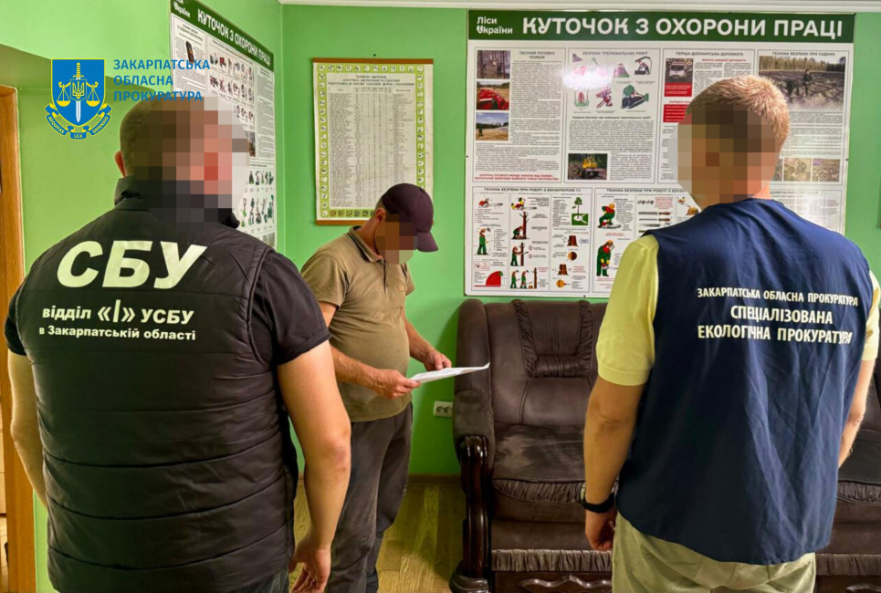Мастера леса подозревают в халатности, которая привела к вырубке дубов на 5,2 млн грн 