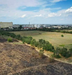 Спасатели Одесской области "на горячем" поймали поджигателей сухой растительности Фото: ГСЧС Одесской области