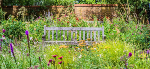 Фото: Gardeningknowhow.com