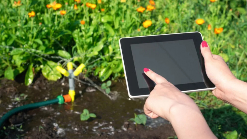 Розумний полив: як заощадити воду та час за допомогою автоматизованих систем Фото: Gardeningknowhow.com