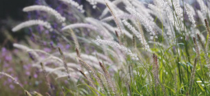 Фото: lautrejardin.ch