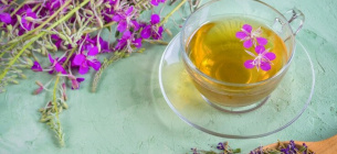 Більше ніж просто чай: Україна відзначає День Іван-чаю Фото: tordo.com.ua