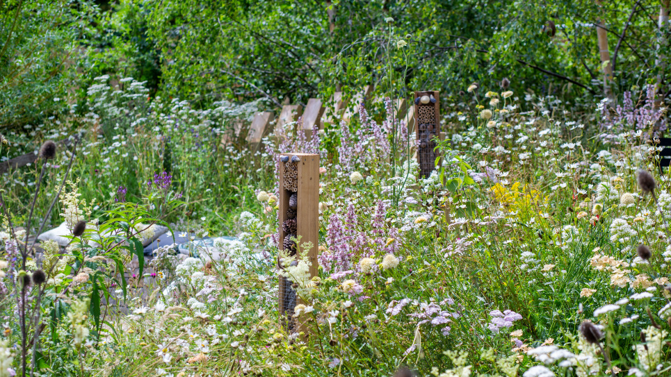 Природный стиль и «дикие» сады: дизайн без лишних усилий Фото: Homesandgardens.com