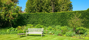 Фото: Horticulture.co.uk