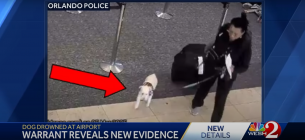 Жінка втопила собаку в туалеті аеропорту, бо тварину не пустили на рейс Фото: скріншот відео / WESH 2 News