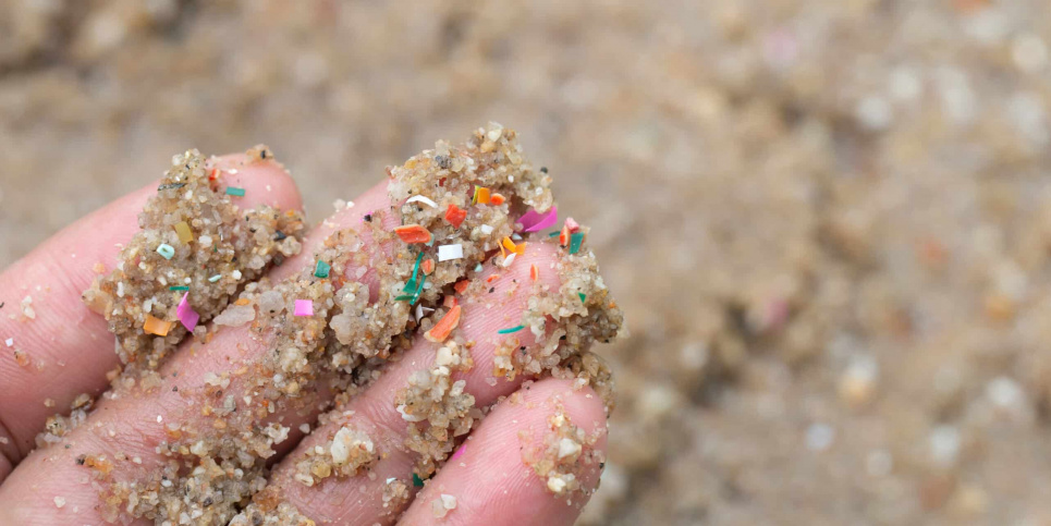 Микропластик уже повсюду — от почвы до наших тарелок Фото: Ech.univie.ac.at