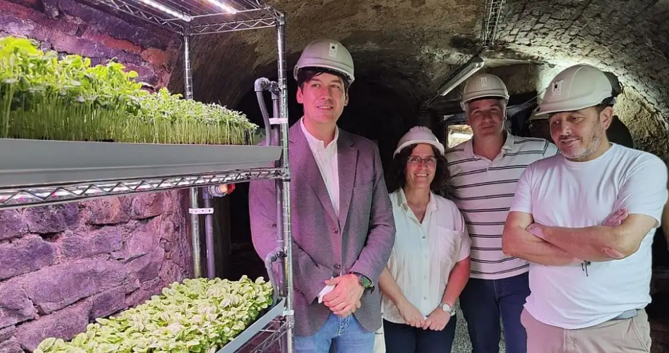 В Іспанії колишню шахту перетворили на підземну теплицю Фото propozitsiya