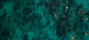 Фото: Kelly / Pexels