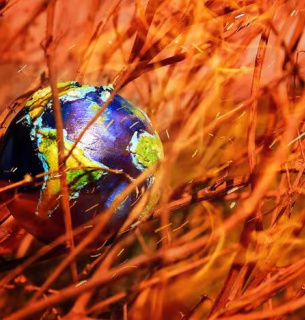 Фото: Cosmosmagazine.com