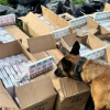 Митники "відкопали" понад 10 тисяч пачок контрабандних сигарет у вагонах із рудою На Закарпатті митники виявили 10 тис. пачок сигарет у вагоні з рудою